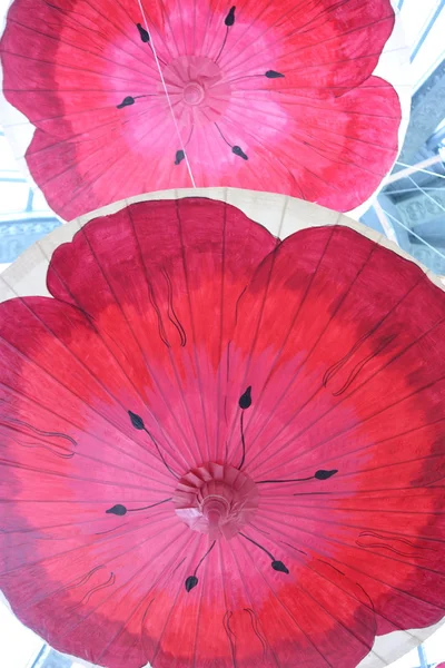 Красные маки на бумажных зонтиках — стоковое фото