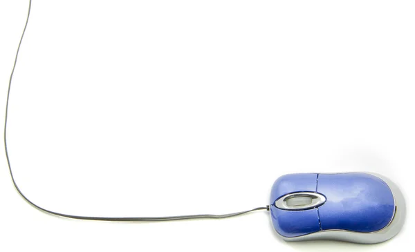 Small Computer Mouse and Cord — Stock Photo, Image