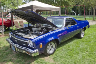 1973 Chevy El Camino