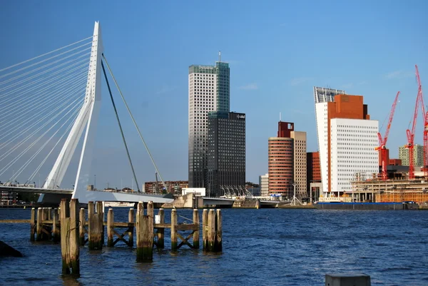 Rotterdam Stockbild