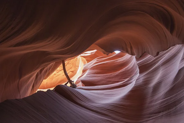 Antelope Canyon — Stock Photo, Image