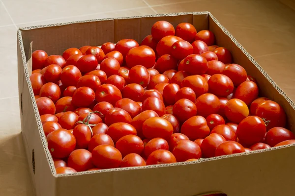 Tomatoes in the box — Stock Photo, Image