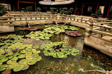 Ornamental pond in China clipart