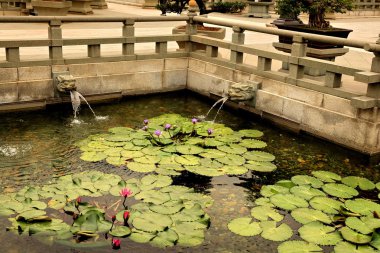 Ornamental pond in Hong Kong clipart