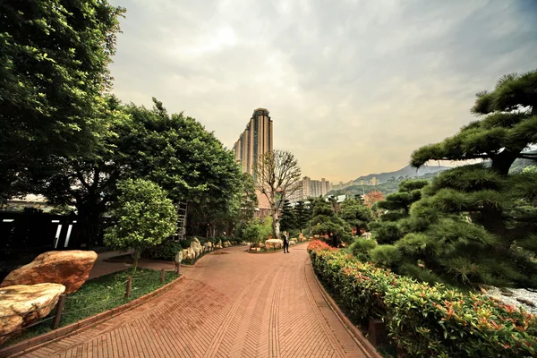 美丽的公园在香港 — 图库照片