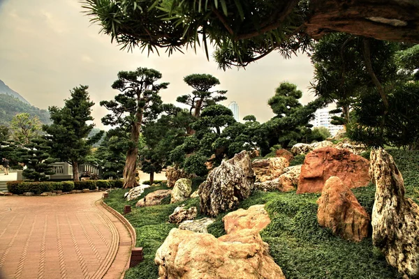 Park in China — Stockfoto