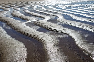 Beach, Avustralya