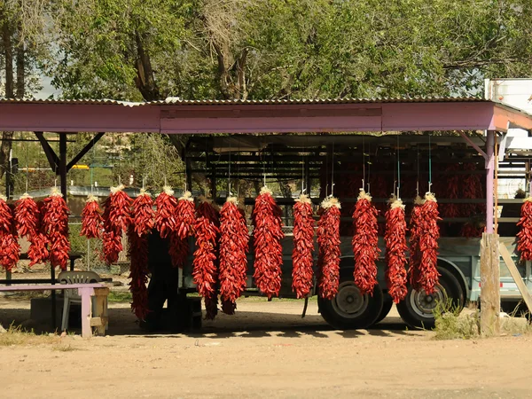 Stock image Red chiles