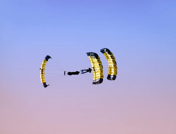 Parachutisten bij dageraad — Stockfoto