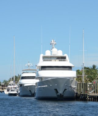 Luxury yachts in Fort Lauderdale, Florida clipart