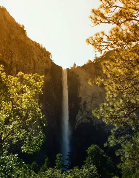 背の高い滝 — ストック写真