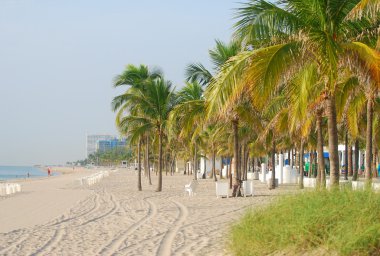 Florida beach scenery clipart