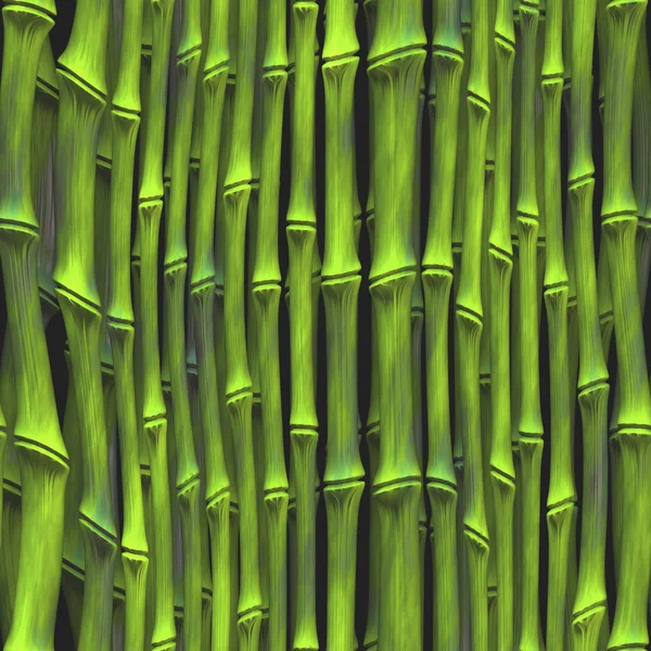 Brotes de bambú —  Fotos de Stock