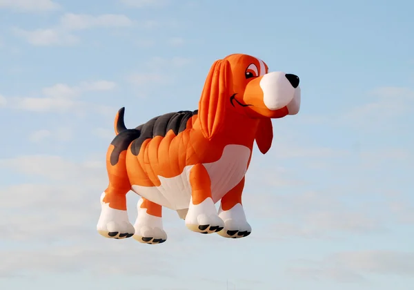 Stock image Dog shaped balloon