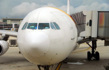 Nose of passenger plane clipart