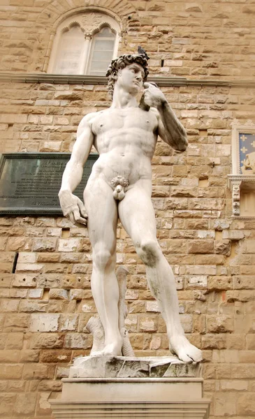 Estátua de David por michelangelo — Fotografia de Stock