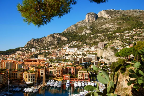 Красивый вид на гавань Монте-Карло, Франция — стоковое фото