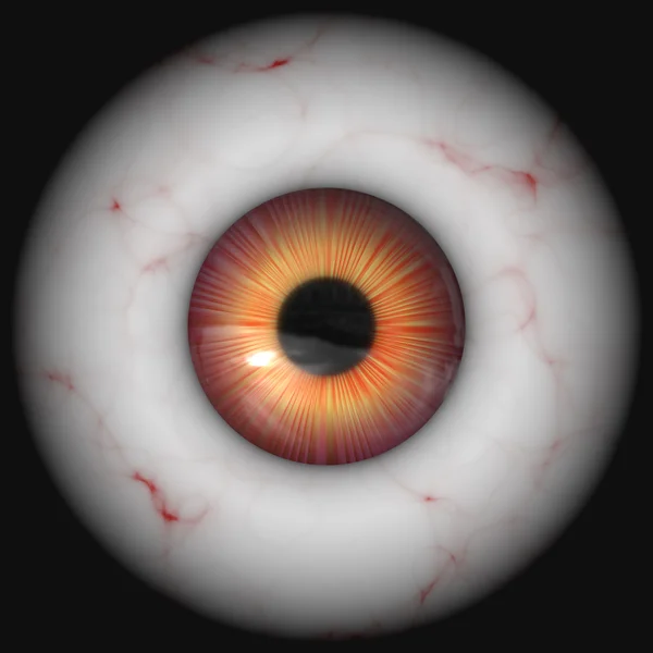 Closeup of eyeball — Stock Photo, Image