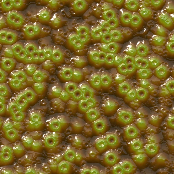 Les bactéries vertes — Photo