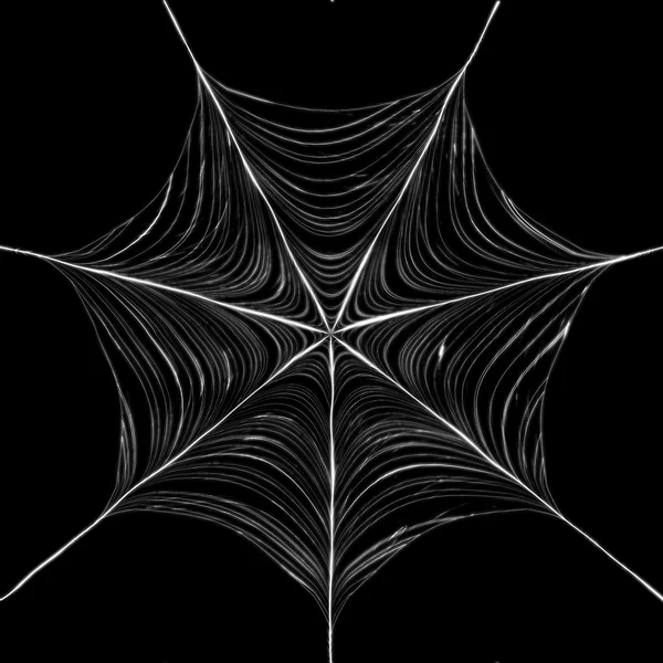 Ένας ιστός αράχνης — Φωτογραφία Αρχείου