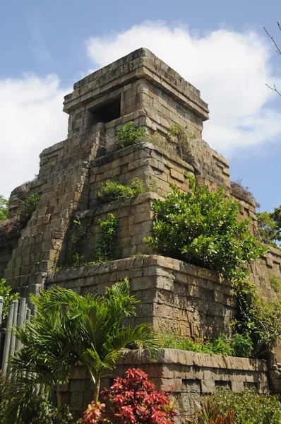 Stock image Maya ruins