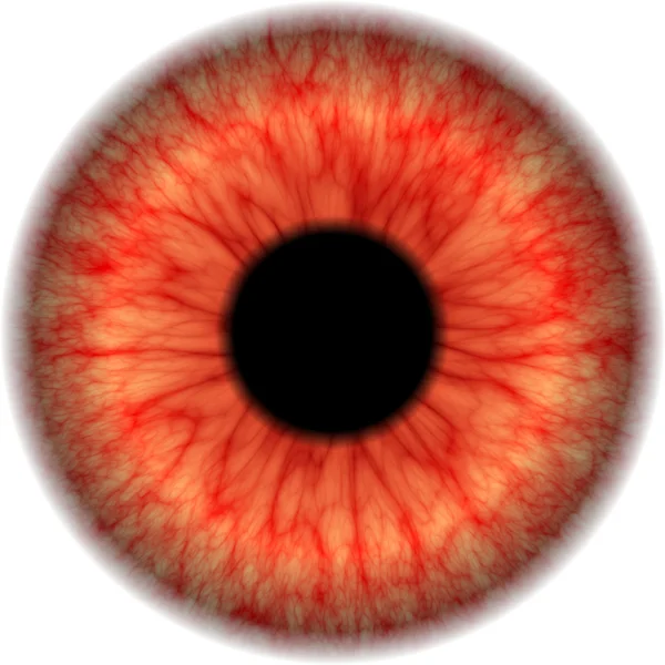 Eye map — Stock Photo, Image