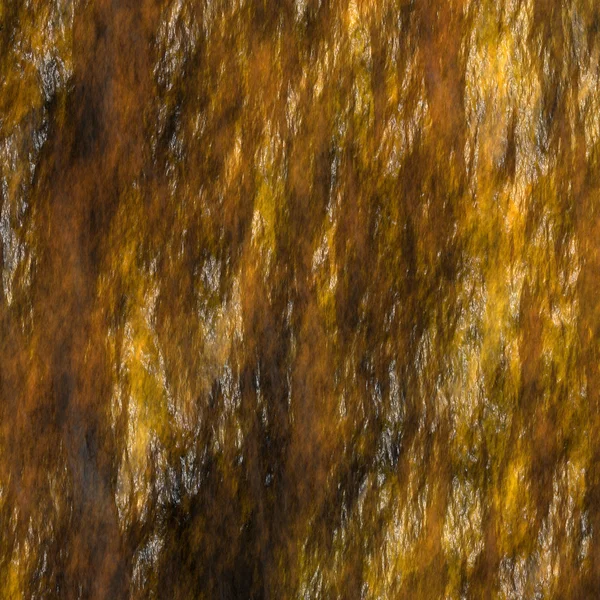 Wet rock surface — Stock Photo, Image