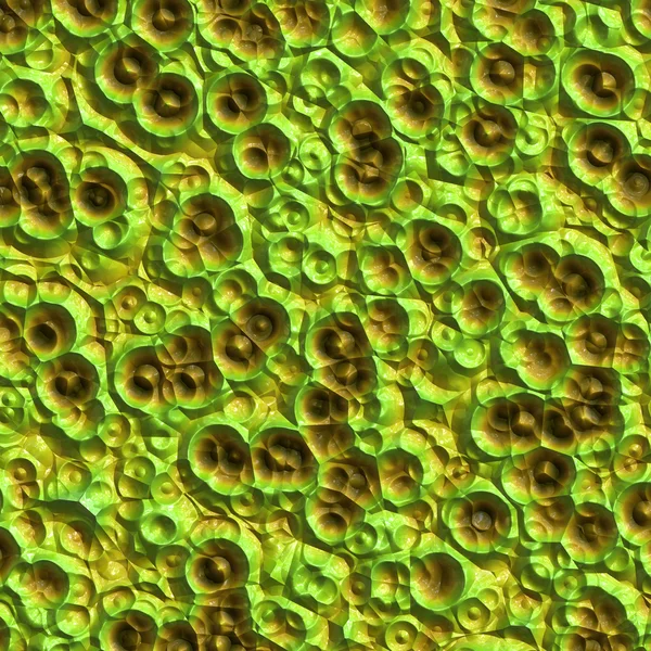 Grüne Bakterien — Stockfoto