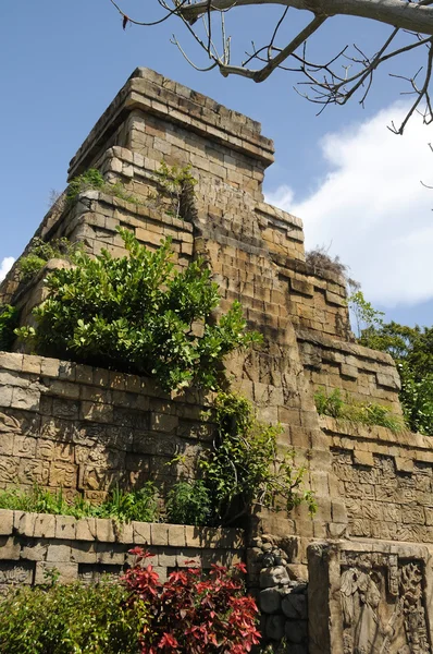 stock image Maya ruins