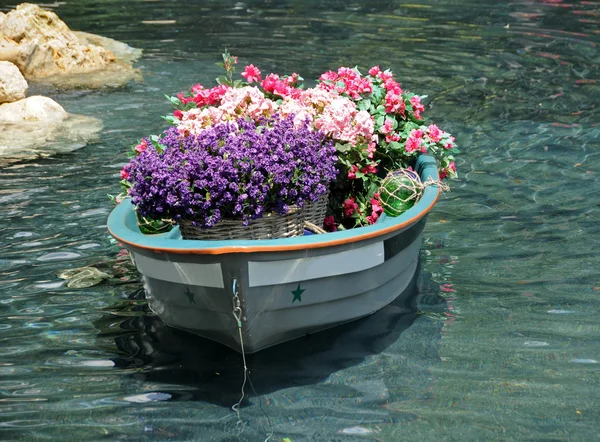 Flowers in old boat — Stock Photo, Image