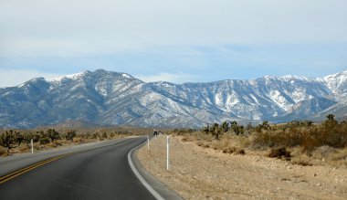 doğal yolu