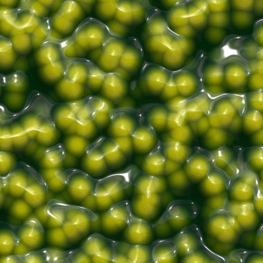 Green bacterial clipart