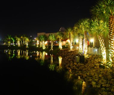 Palm trees at night clipart