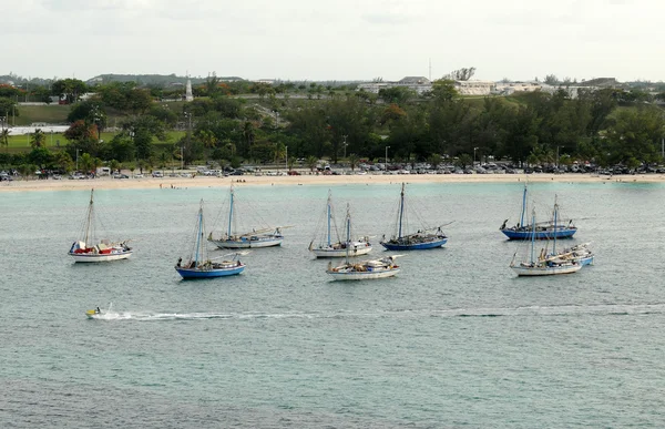 Paesaggio costiero dalle Bahamas — Foto Stock