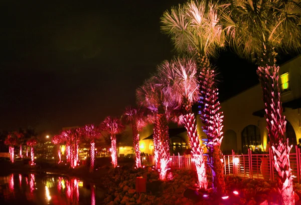 Palmen onder rood licht — Stockfoto