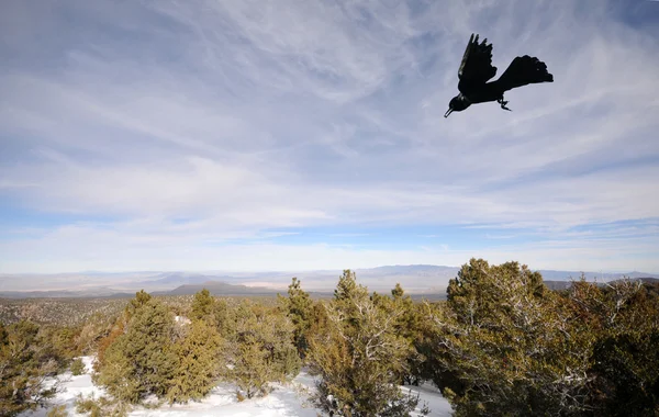 Góry w Nevadzie — Zdjęcie stockowe