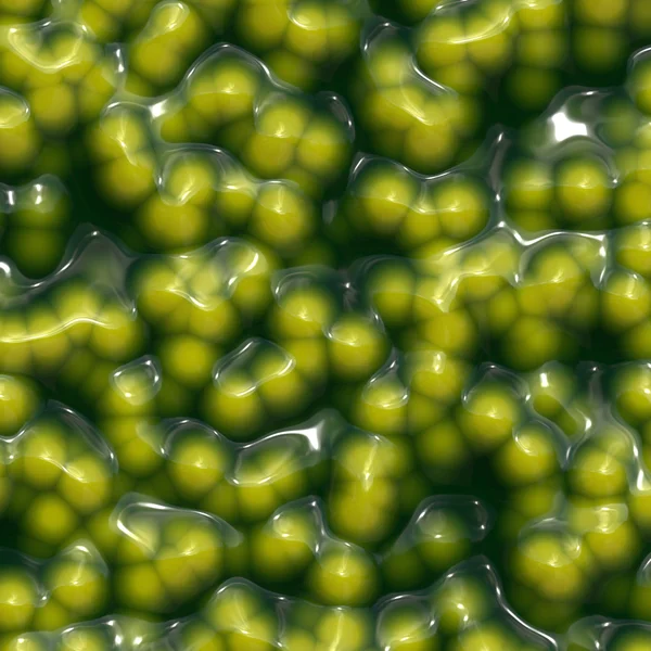 Zelená bakteriální — Stock fotografie