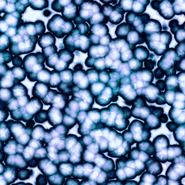 Zellen unter dem Mikroskop — Stockfoto