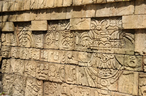 Maya scripts — Stockfoto
