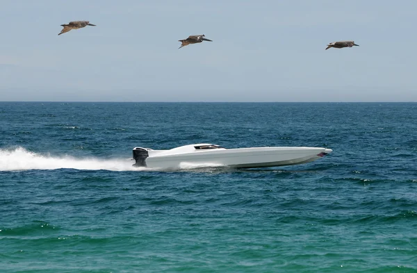 Wyścig łodzi na pełnym morzu — Zdjęcie stockowe