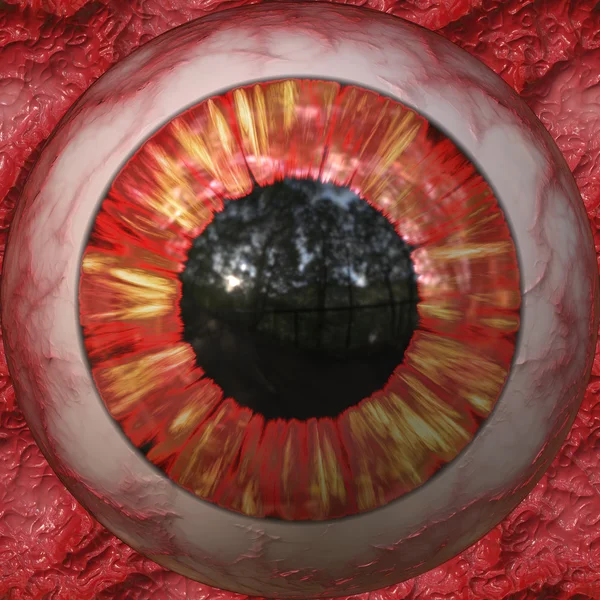 Rotes Auge — Stockfoto
