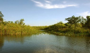 Everglades sahne