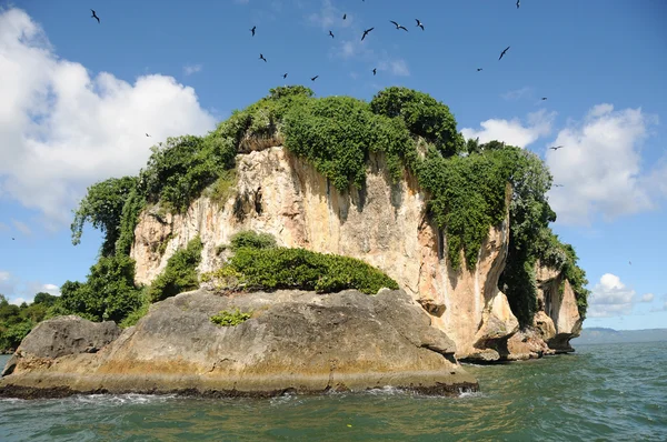 Экзотический остров — стоковое фото