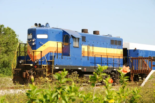 Oude trein motorantigua locomotora — Stockfoto