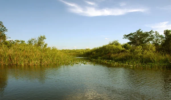Everglades scenery — Stock Photo, Image