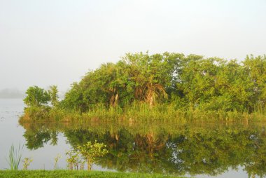 Everglades sahne