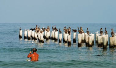 Balıkçılık Florida