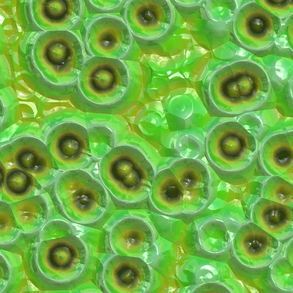 Растительные клетки — стоковое фото