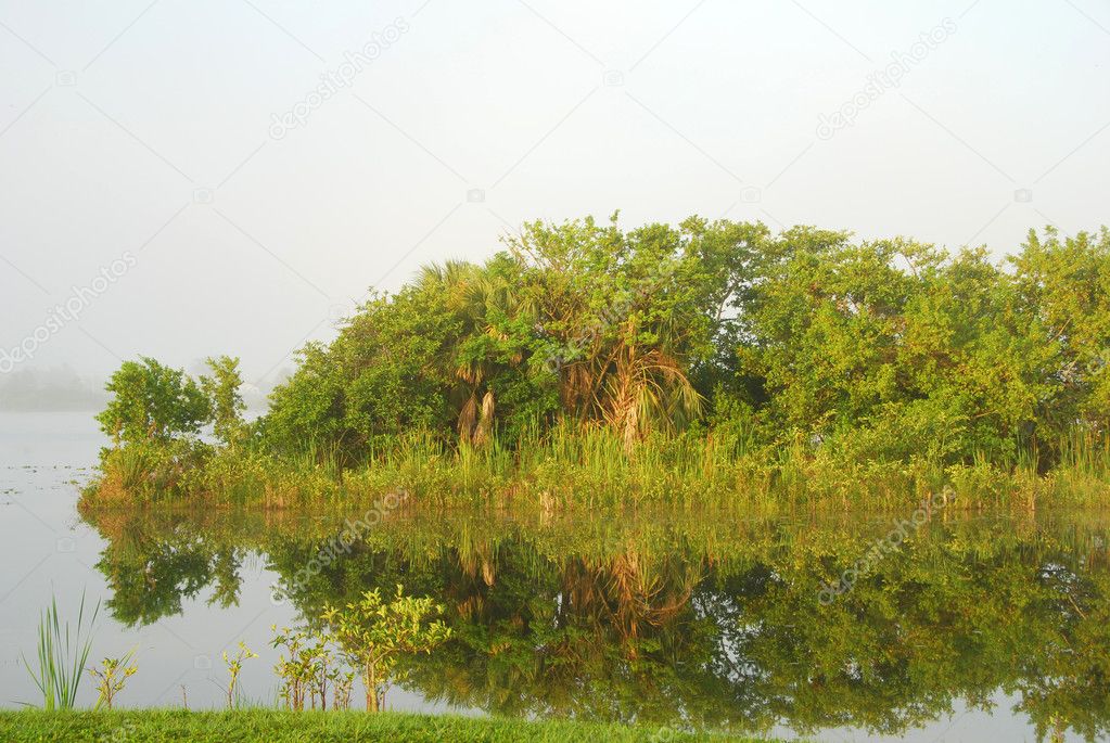 Everglades scenery