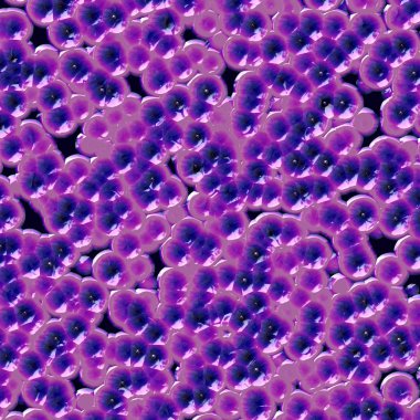Purple bacteria clipart
